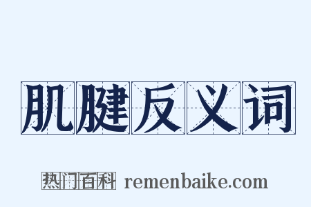 肌腱反义词是什么意思的图片